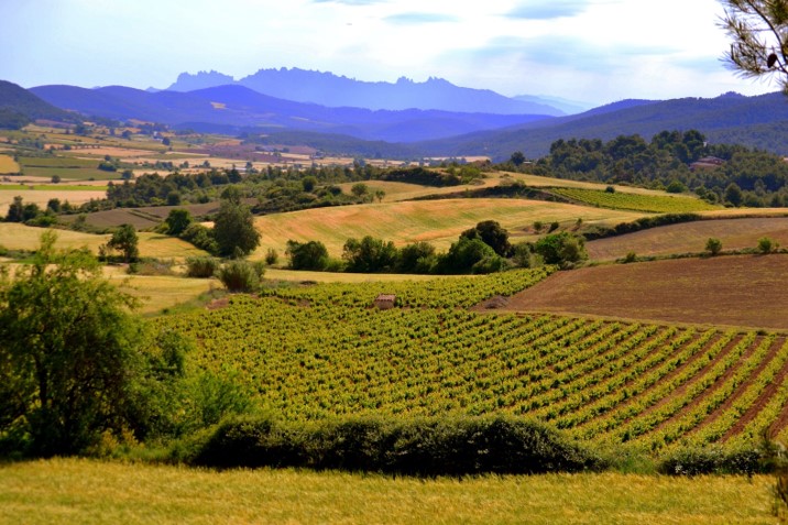 Pla territorial parcial del Penedès