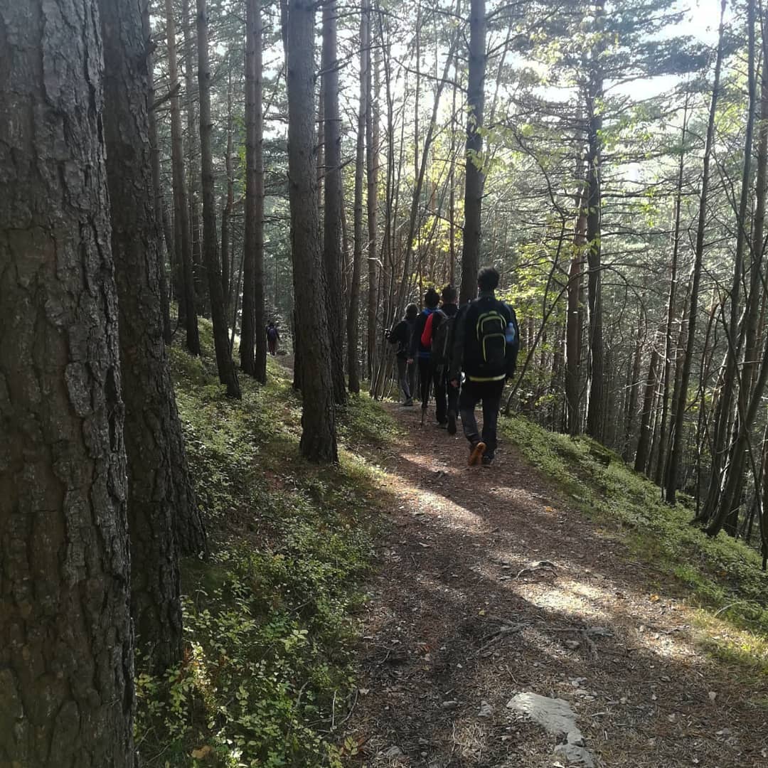 Taula de Voluntariat Ambiental del Pirineu Oriental