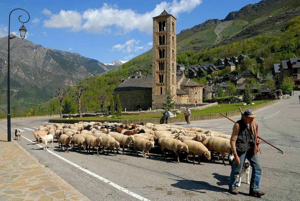 Procés de participació ciutadana Reserva de la Biosfera al Parc Nacional d’Aigüestortes i Estany de Sant Maurici