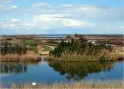 Comissió per a la sostenibilitat de les Terres de l&#39;Ebre