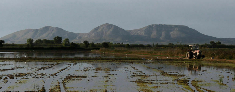 Carta Europea de Turisme Sostenible al Parc Natural del Montgrí, les Illes Medes i el Baix Ter