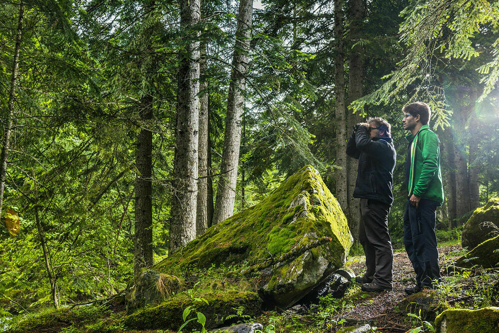 Imatge pels mitjans: Taula de Voluntariat Ambiental del Pirineu Occidental Català