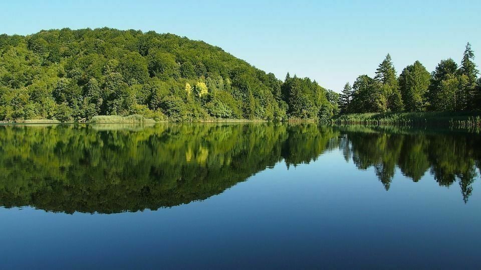 Imatge pels mitjans: Procés participatiu per a l&#39;elaboració de l&#39;Estratègia de patrimoni natural i biodiversitat de Catalunya