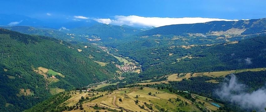 Media picture: Incentivem el desenvolupament de paisatges agroforestals resilients