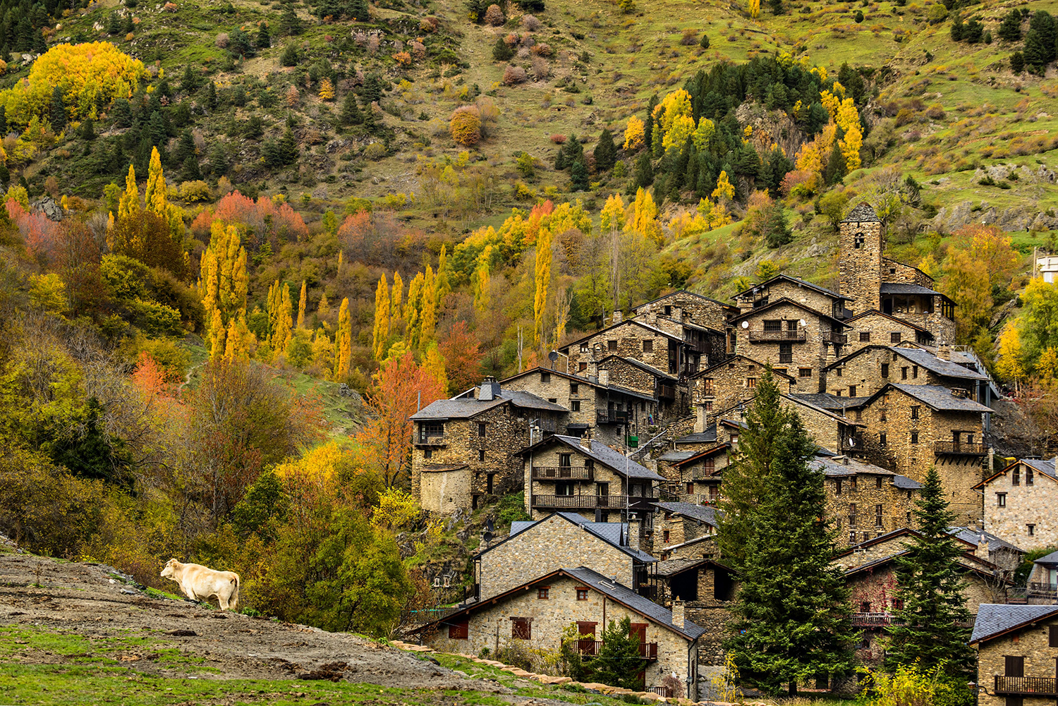 Imatge pels mitjans: Procés de participació del Pla Estratègic del Parc Natural de l’Alt Pirineu 