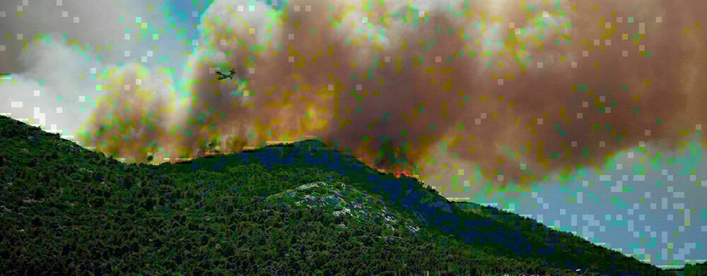 Media picture: Consulta pública prèvia a l’elaboració d&#39;un Projecte de decret de mesures de prevenció d&#39;incendis de vegetació agrícola i forestal