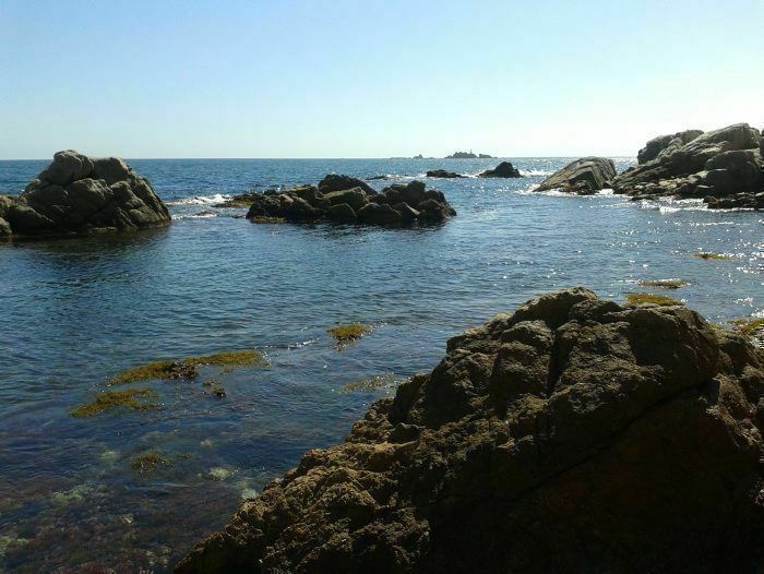 Media picture: Taula de Cogestió Marítima del Litoral del Baix Empordà