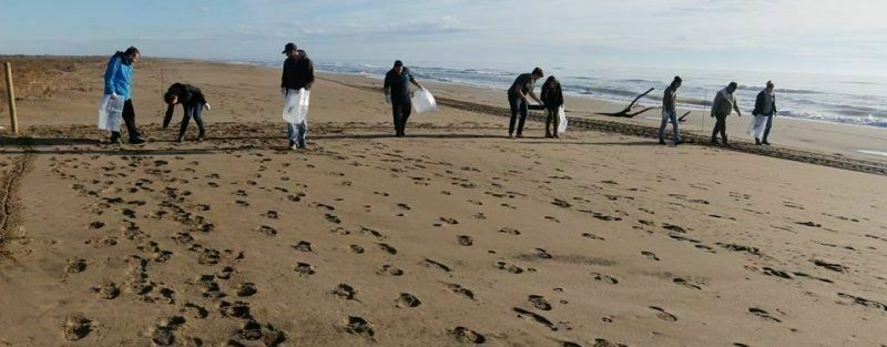 Imatge pels mitjans: Taula de Voluntariat Ambiental de les Terres de l’Ebre