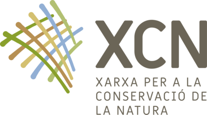 logo_xcn_color (2).png