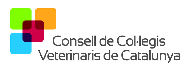 LOGO CONSELL.jpg