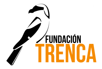 logo ft color.png