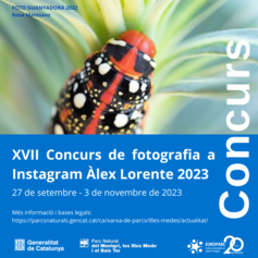 XVII Concurs de fotografia Àlex Lorente