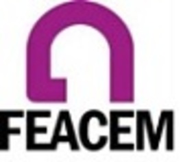 Logo Feacem.jpg