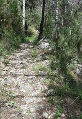 Camins de ferradura i altres elements del patrimoni.