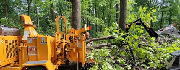 Why Choose BetterScapes Tree Service?