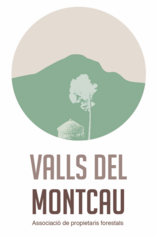 Logo Valls Montcau_DEF_Retallat.png