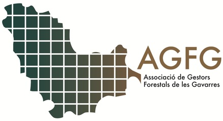 AGFG_logo.jpg