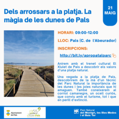 Dels arrossars a la platja. La màgia de les dunes de Pals