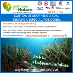 SORTIDA DE SNORKEL GUIADA.  TEMÀTICA ESPECIAL: POSIDÒNIA.