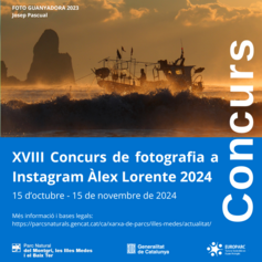 Cartell Concurs de Fotografia #ALEXMONTGRÍ2024