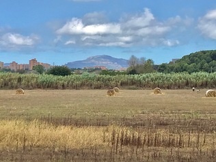 Protegim el Parc Fluvial del riu Ripoll al seu pas per Barberà del Vallès