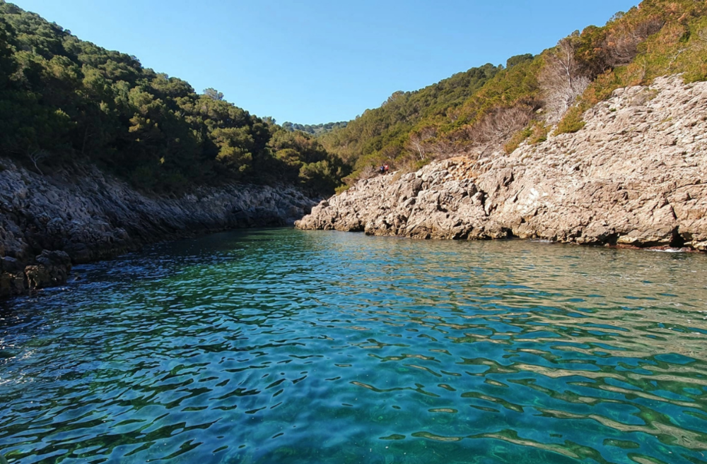 Procés participatiu per la cogestió del litoral del Parc Natural del Montgrí, les Illes Medes i el Baix Ter